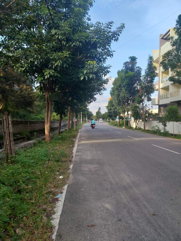  sri krishna gardens phase iv Elevation