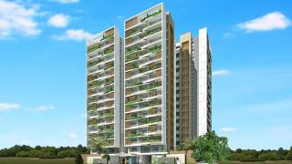 Project Image Project Image