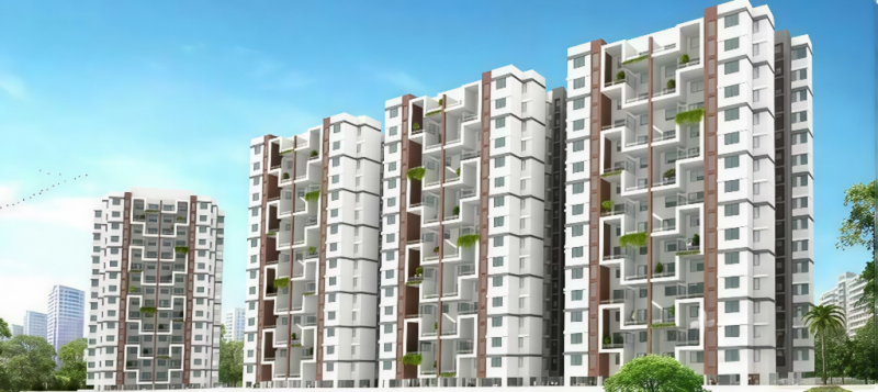  24 Elevation