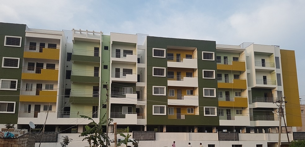  forest view Elevation