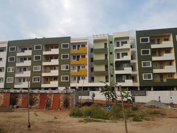  forest-view Images for Project