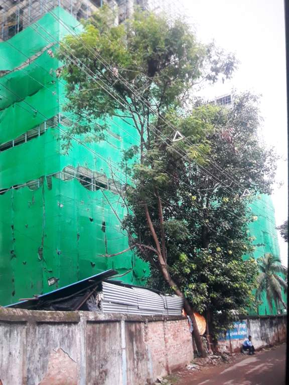 Images for constructionStatus