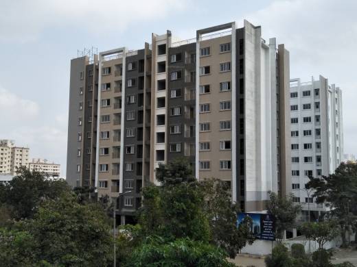 celio Images for Project Images for Project