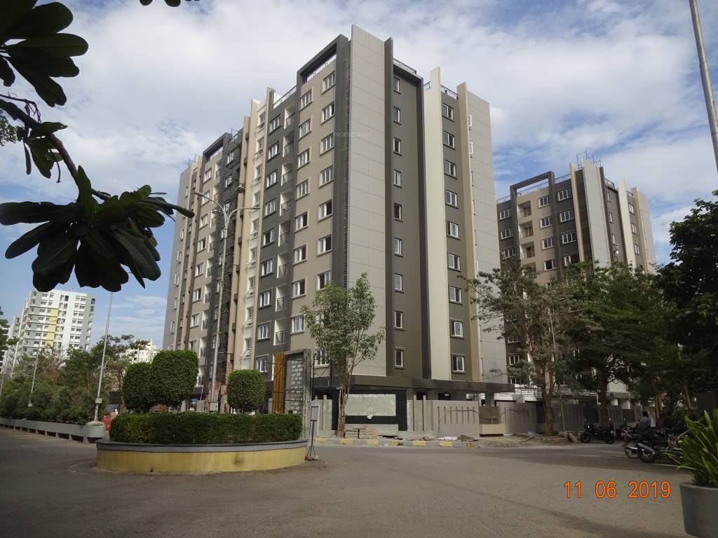 celio Images for Project