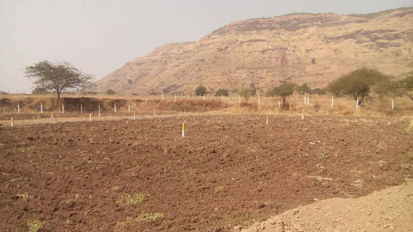 Images for Main Other of Nandini Viswa