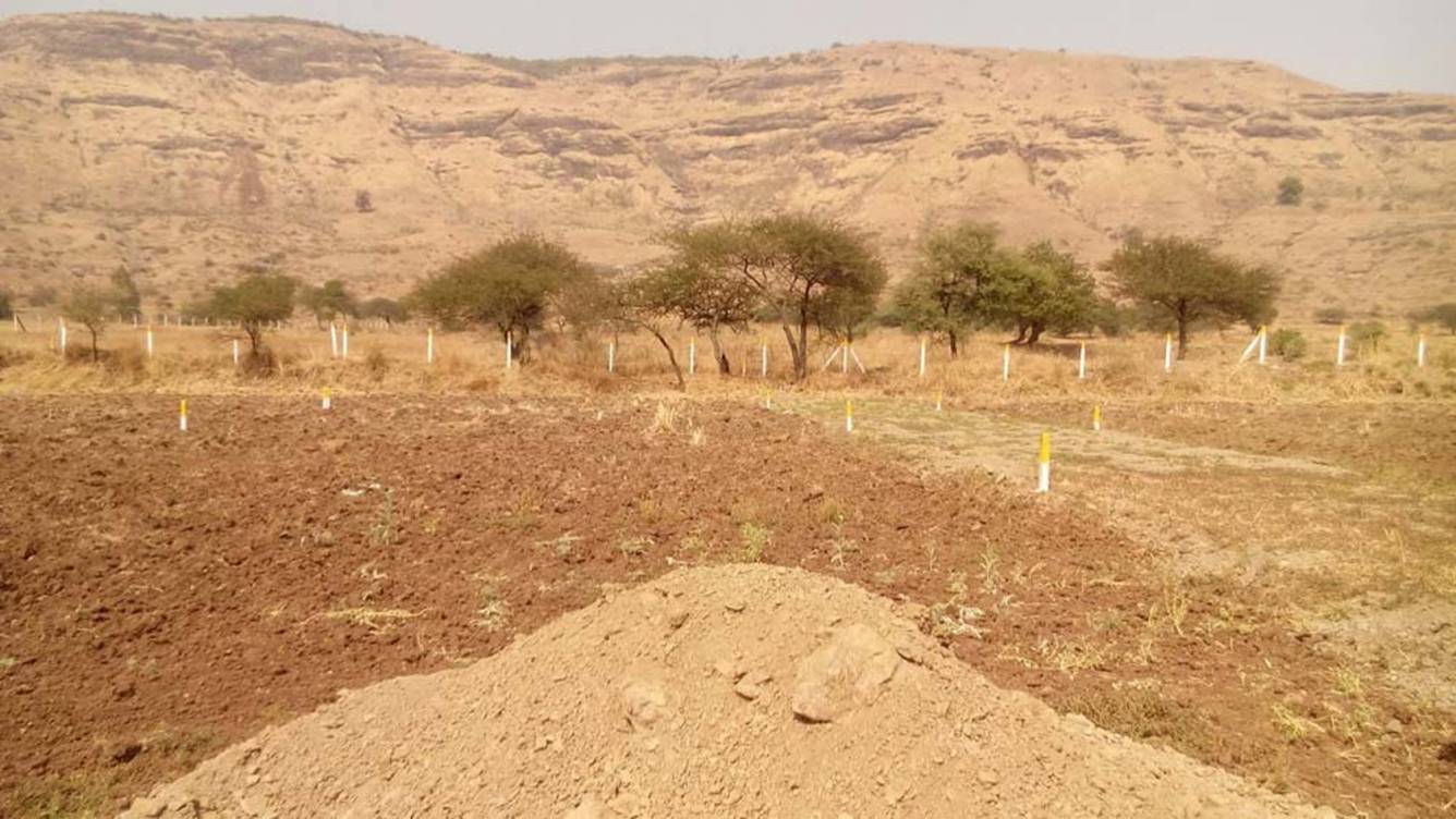 Images for Main Other of Nandini Viswa