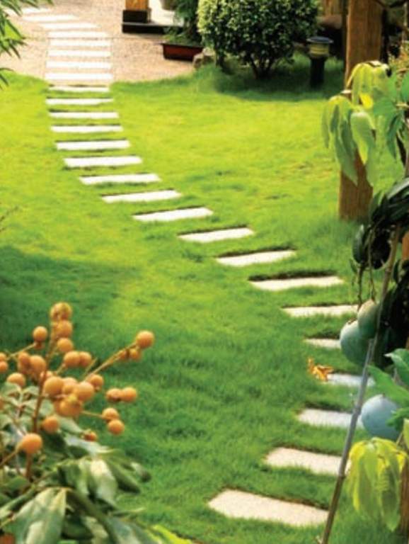 sukriti apartment Images for Amenities of DEC Sukriti Apartment