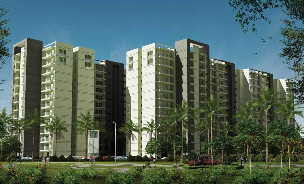  avenue 51 Images for Elevation of GLS Avenue 51