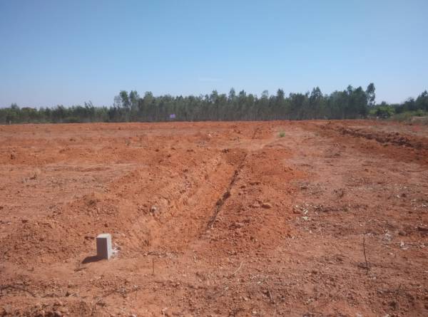 Images for Elevation of Telecom Engineers House Building Co Operative Society Whitefield Heritage