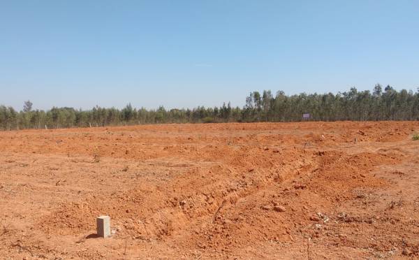 Images for Main Other of Telecom Engineers House Building Co Operative Society Whitefield Heritage