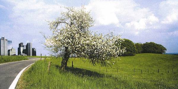 Images for Elevation of Unitech Ananda