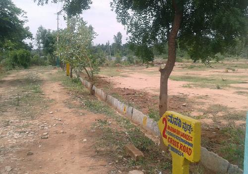  woods-ii Images for Main Other of Manani Woods II