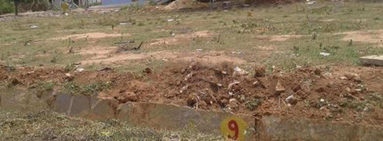  woods ii Images for Main Other of Manani Woods II