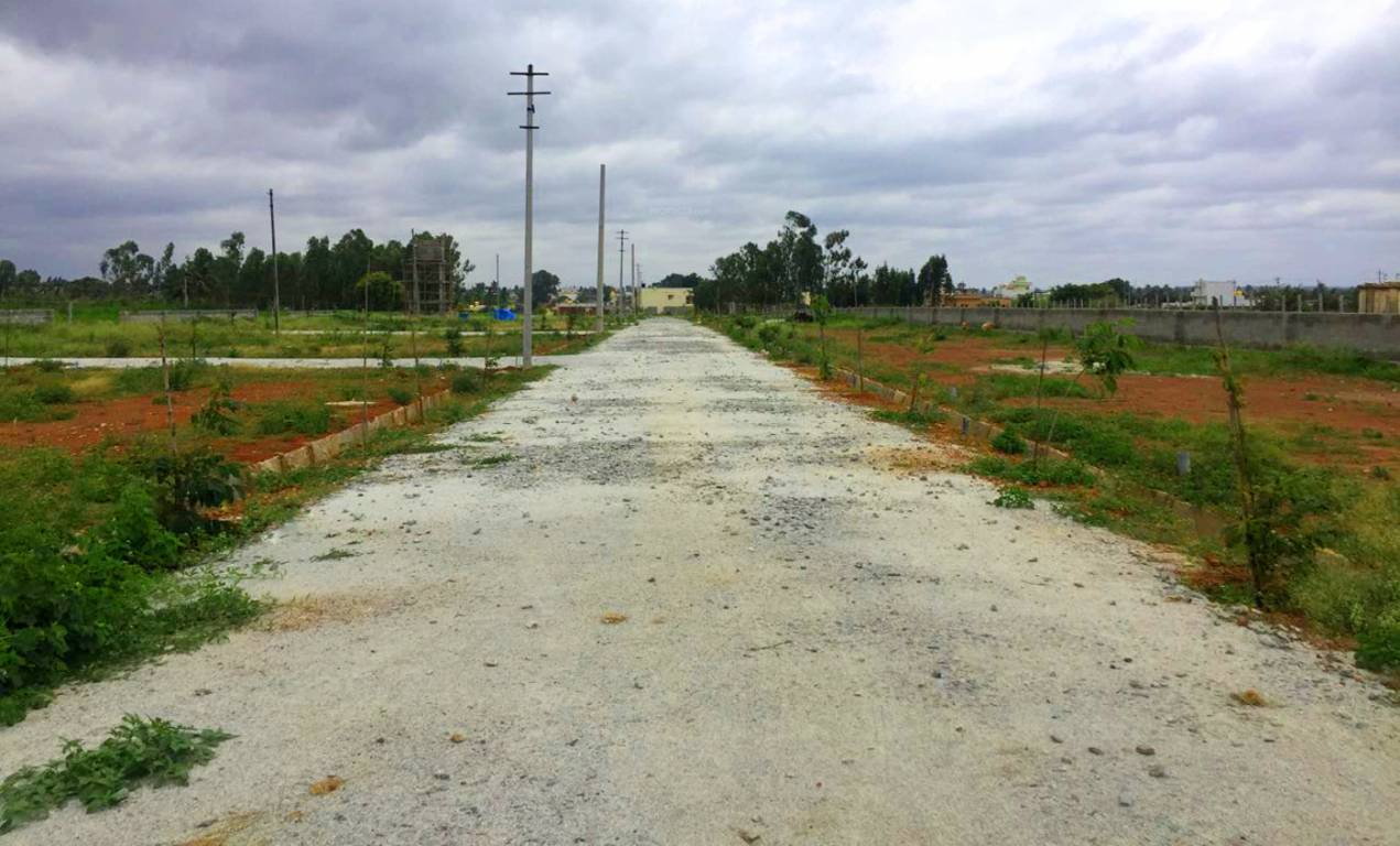 Images for Main Other of Manani Spring