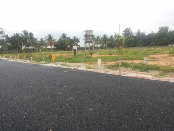 Images for Main Other of Manani Vista