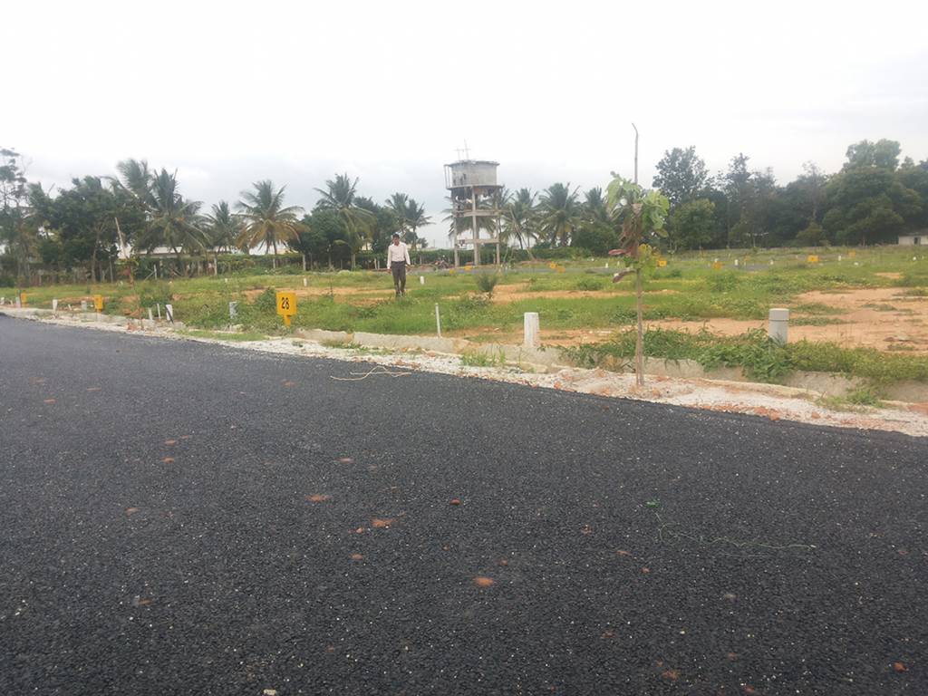 Images for Main Other of Manani Vista