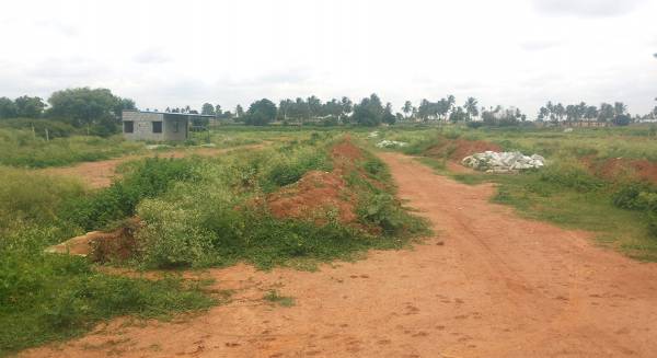 Images for Elevation of Manani Midtown