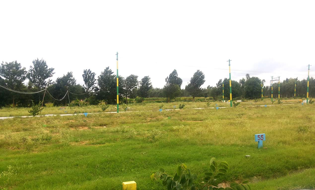 Images for Main Other of Manani Oak Garden