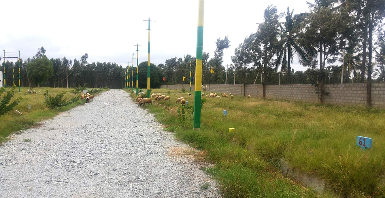 Images for Main Other of Manani Oak Garden