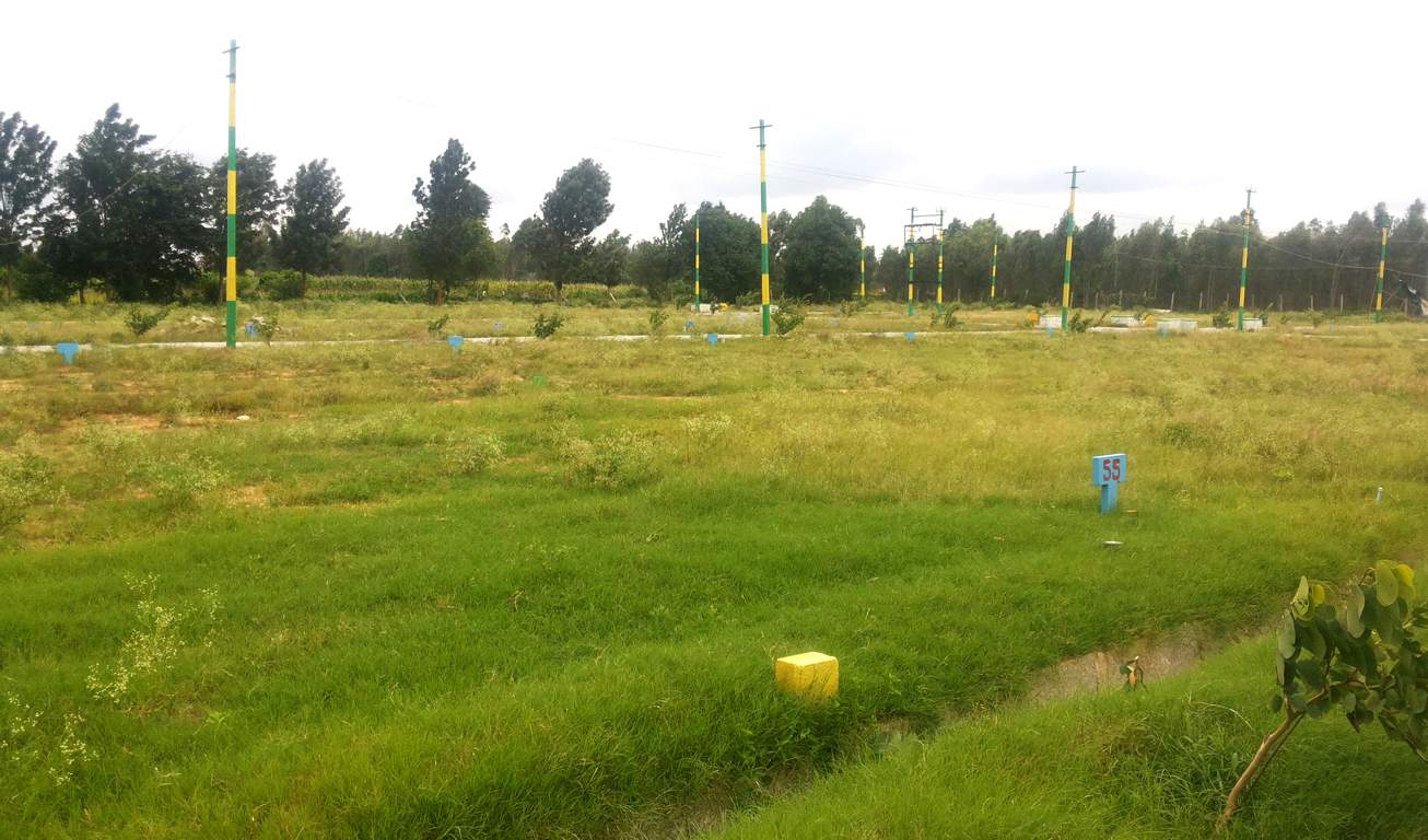 Images for Main Other of Manani Oak Garden