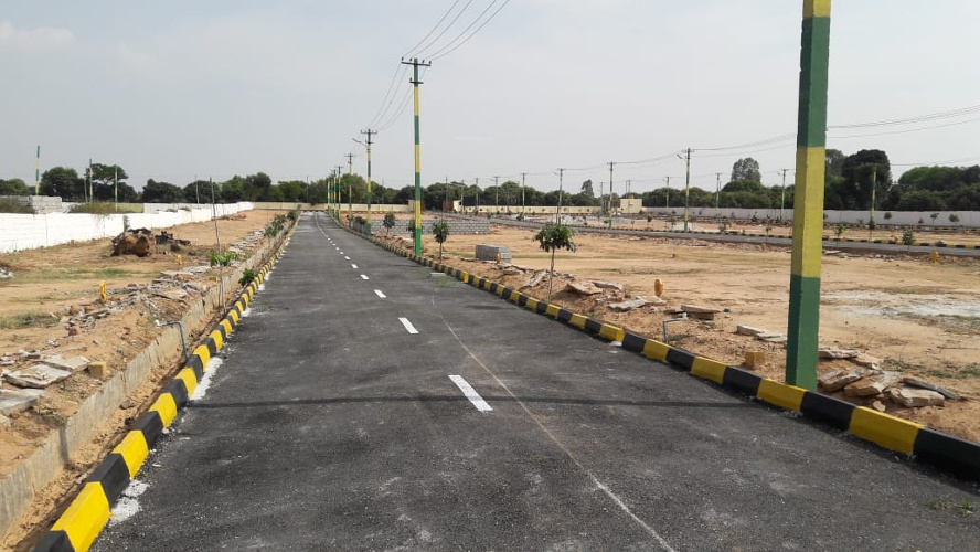 Images for mainOther