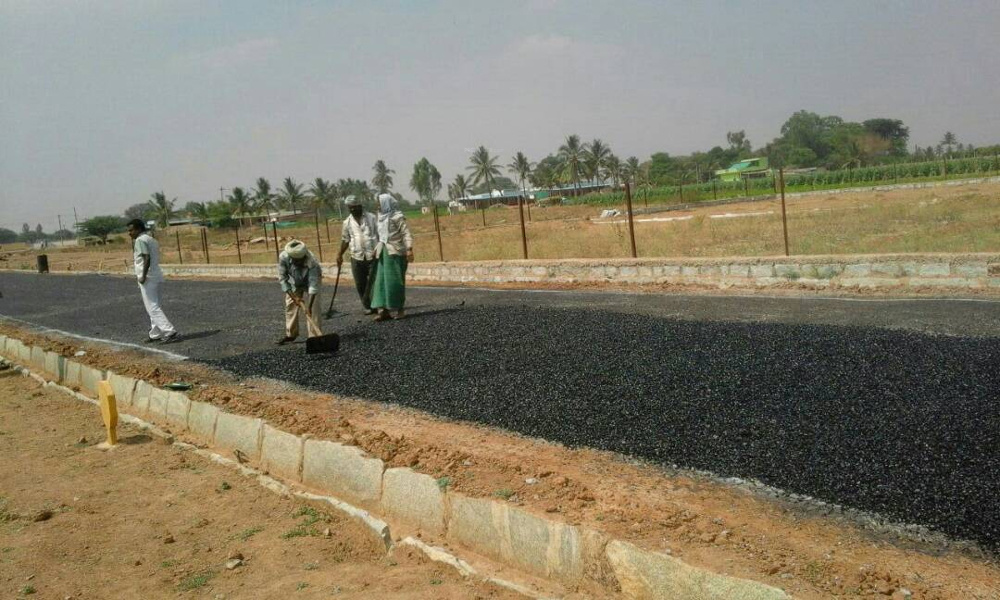 Images for mainOther