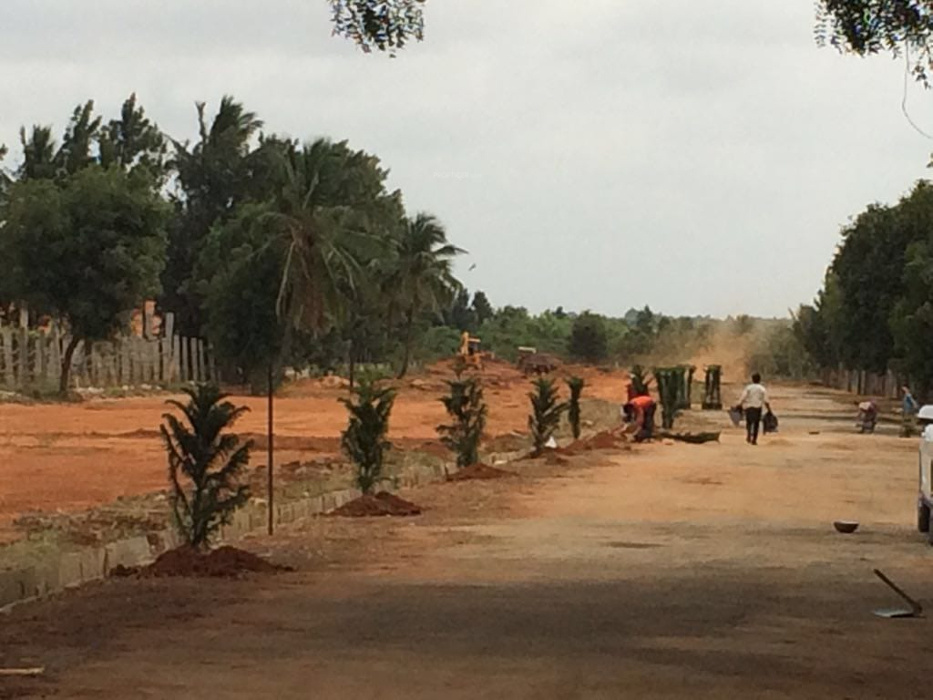 Images for mainOther