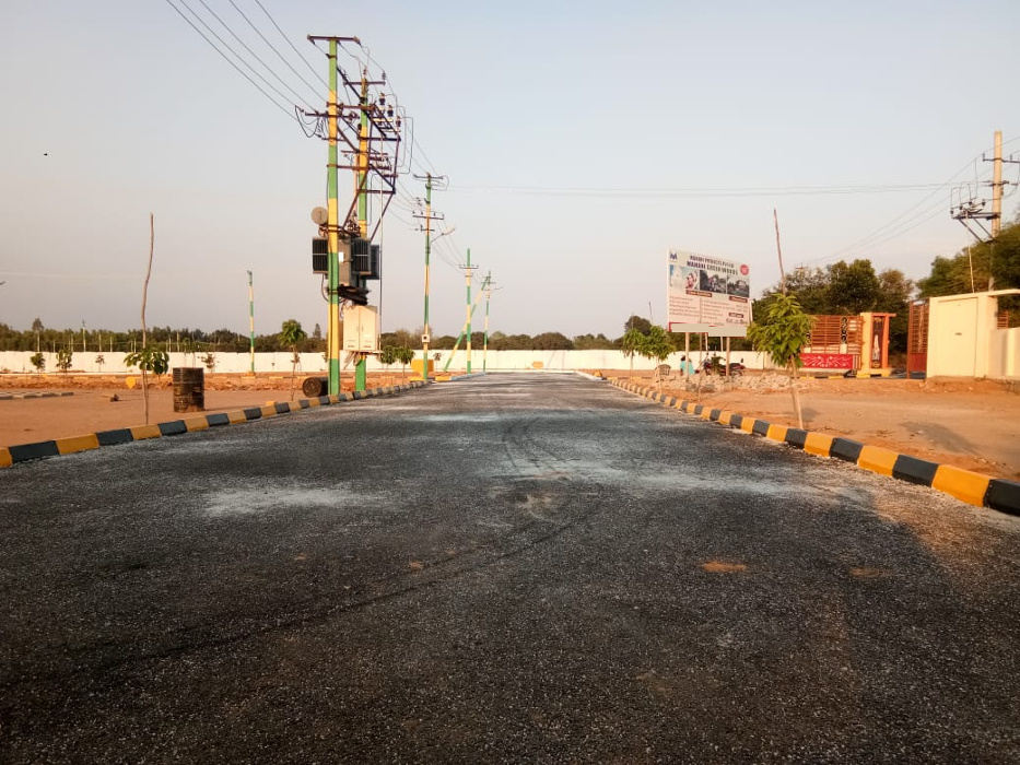 Images for mainOther