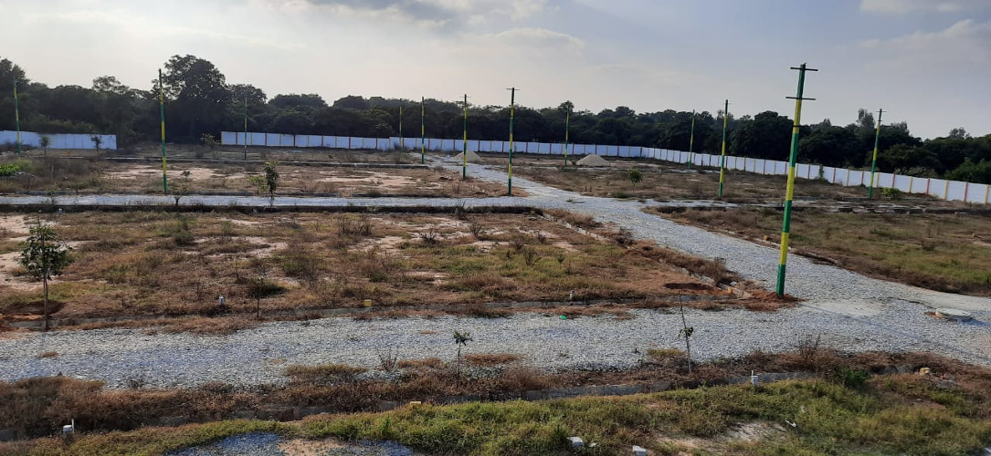 Images for mainOther