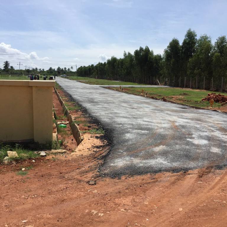 Images for mainOther