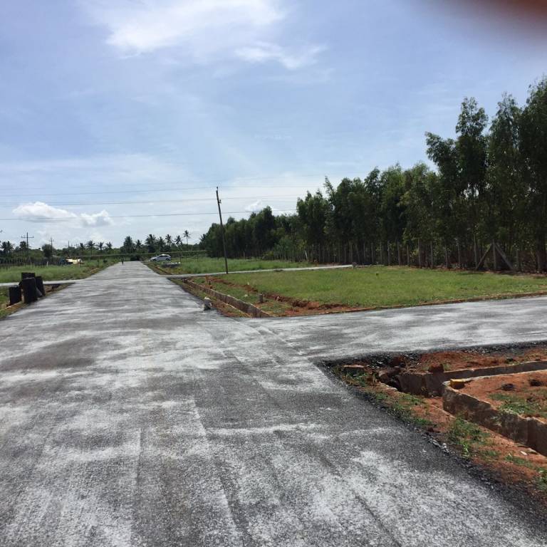 Images for mainOther