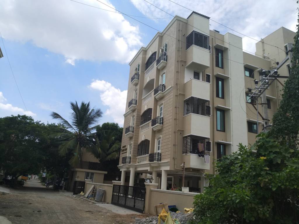  whitefield maximum Elevation