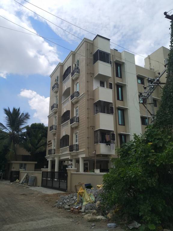  whitefield maximum Elevation