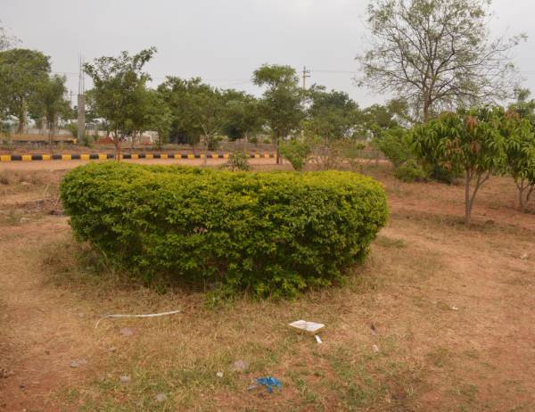 Images for Main Other of Varistha Windward Park