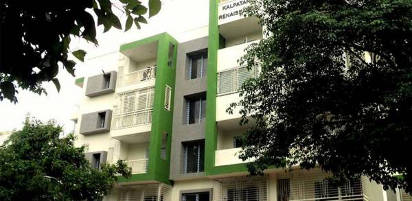 Images for Elevation of Renaissance Kalpataru