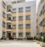 Elevation carnation Elevation