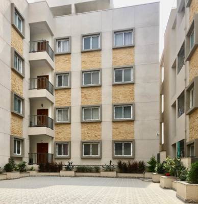 carnation Elevation Elevation