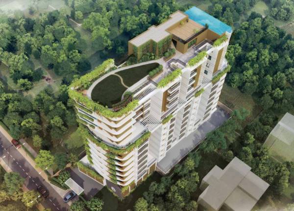  grand-cypress Elevation