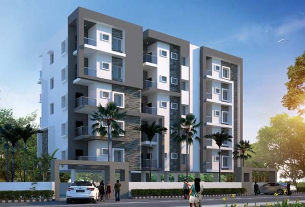 Images for Elevation of SS ICON Marigold