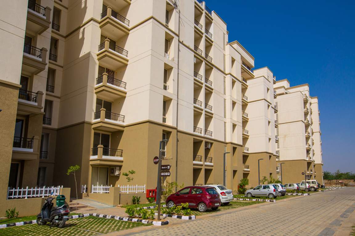 Images for Elevation of ARG Rosewood