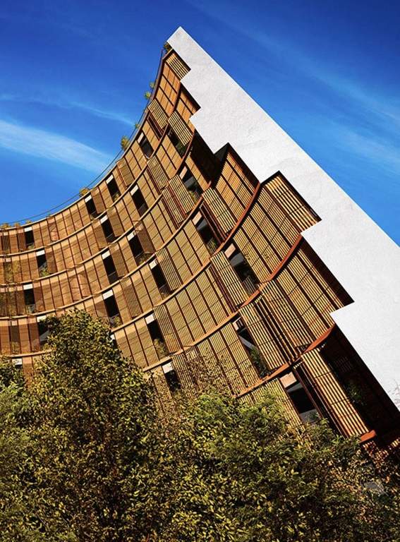  38 and banyan Elevation