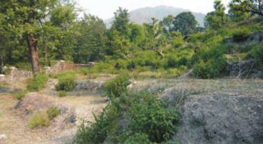 Images for Elevation of SN Group Dehradun Kervan Hills Images for Elevation of SN Group Dehradun Kervan Hills