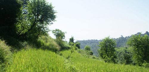 Images for Amenities of SN Group Dehradun Kervan Hills