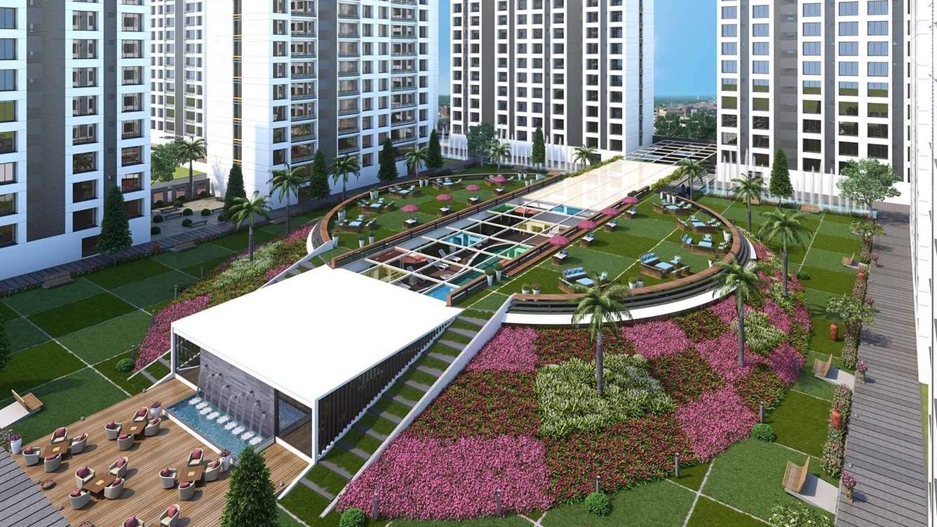 carolina Landscape Garden and Tree Planting