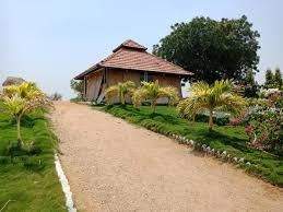  oyster blue Elevation