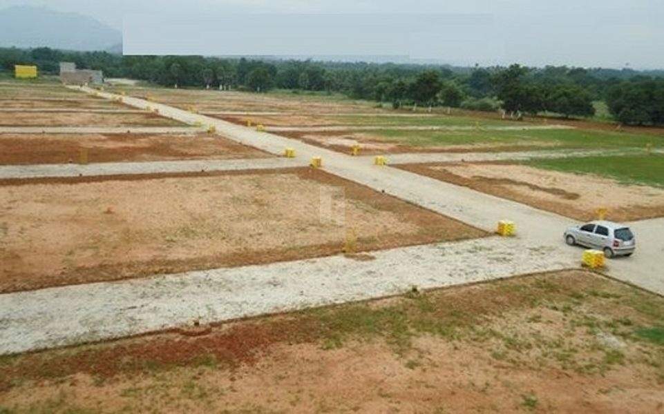  oyster blue Elevation