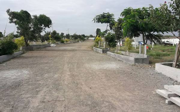 Images for Main Other of Ranjeet S S Shivmalhar