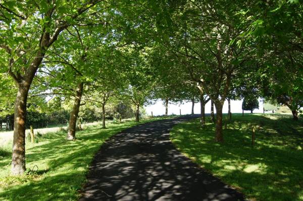 Images for Amenities of Vasudeva Realty Blue Sapphire