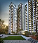 Images for Elevation of Radiance Icon