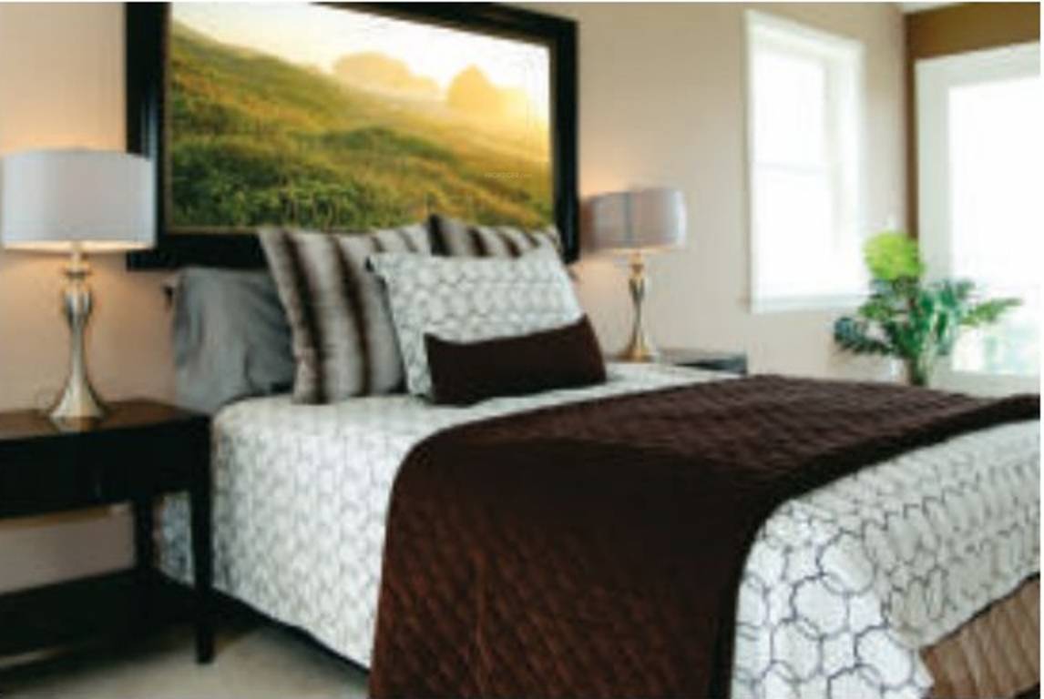 Images for Main Other of Dipti Sweta